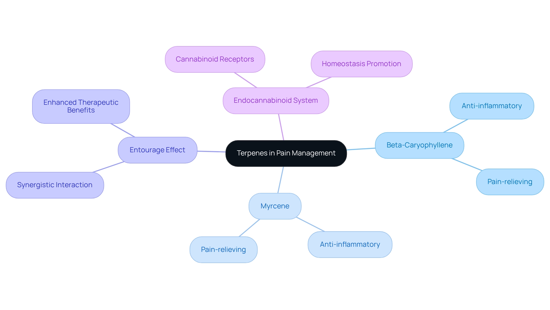At the center is the main topic of terpenes. Each branch represents a specific terpene, detailing its effects and significance. The further branches show how these compounds interact with the body and contribute to pain relief.