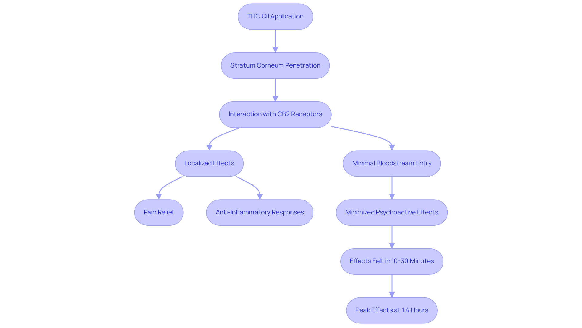 Follow the arrows to see how THC oil interacts with the skin — from application to the effects you might feel. Each box represents a key step in the absorption process. Follow the arrows to see how THC oil interacts with the skin — from application to the effects you might feel. Each box represents a key step in the absorption process.
