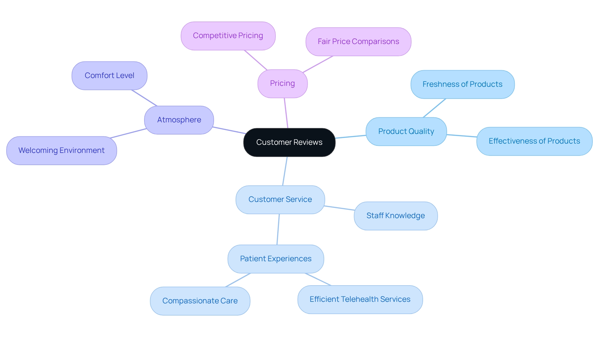 Each branch represents a key aspect of customer reviews, with sub-branches providing detailed insights into each category.