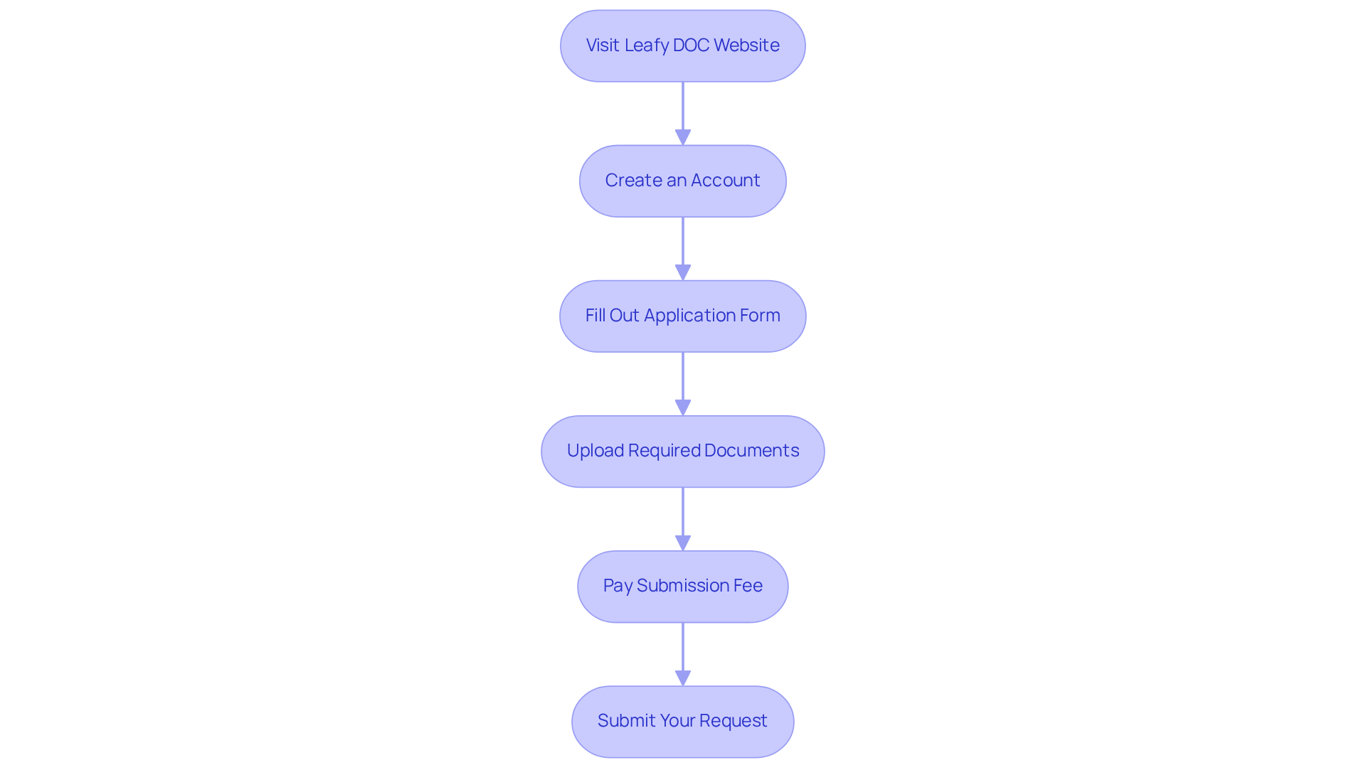 Each box represents a step you need to complete. Follow the arrows to see what to do next. The flowchart guides you from starting the application to submitting your request.