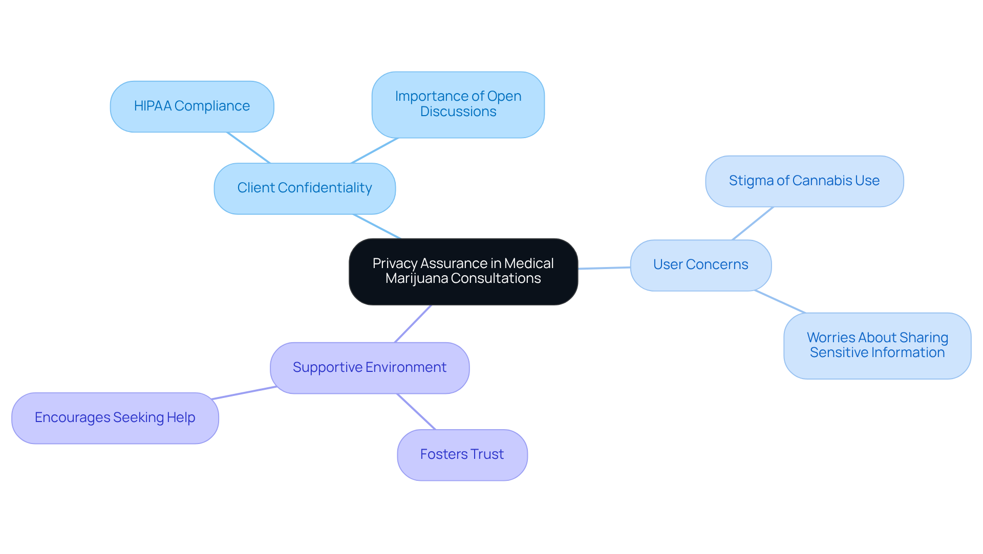 The center shows the main focus on privacy, with branches illustrating related topics. Each color-coded branch highlights key areas that contribute to creating a secure and confidential consultation experience.