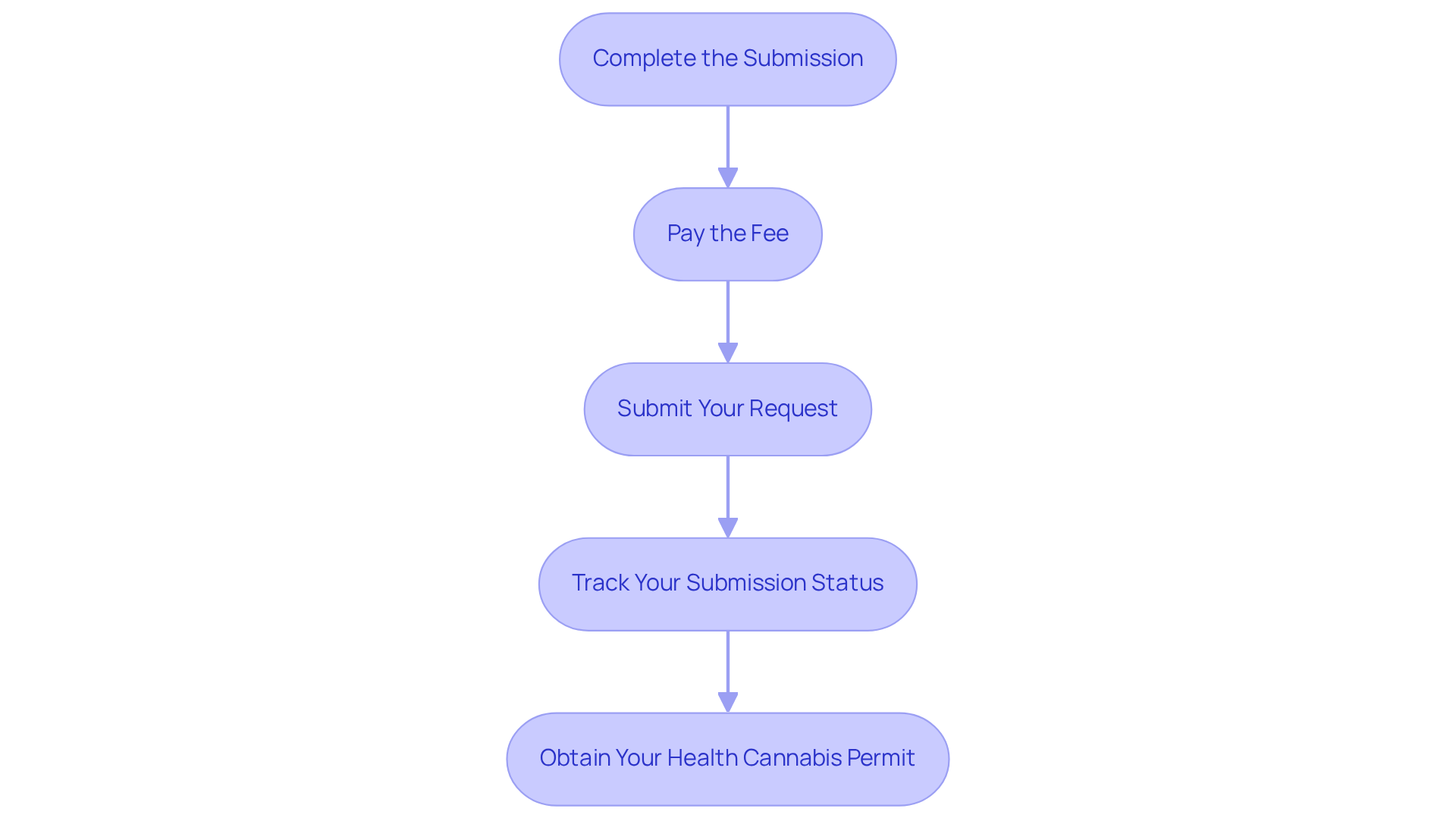 Each box represents a step in the application process. Follow the arrows to navigate through the steps — from completing your submission to obtaining your permit.