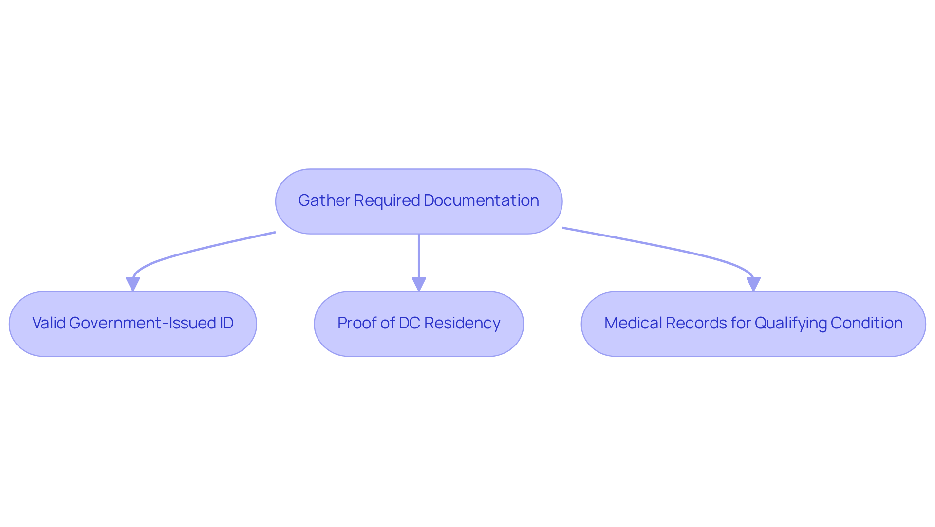 Follow the arrows to see which documents you need to collect — each box shows a specific requirement to help you prepare for your application.