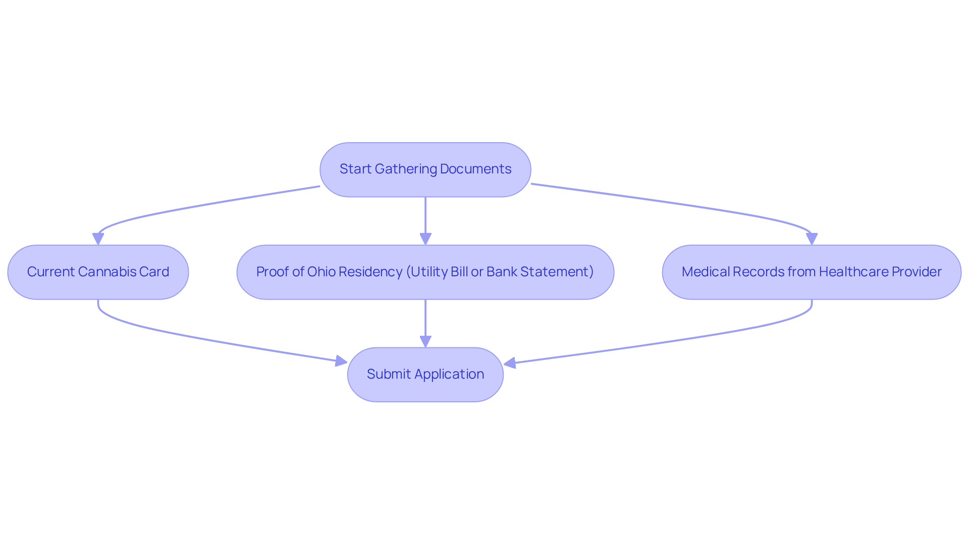 Follow the boxes down the flowchart to see what documents you need to gather before submitting your application for renewal. Each step is crucial for a smooth renewal process.