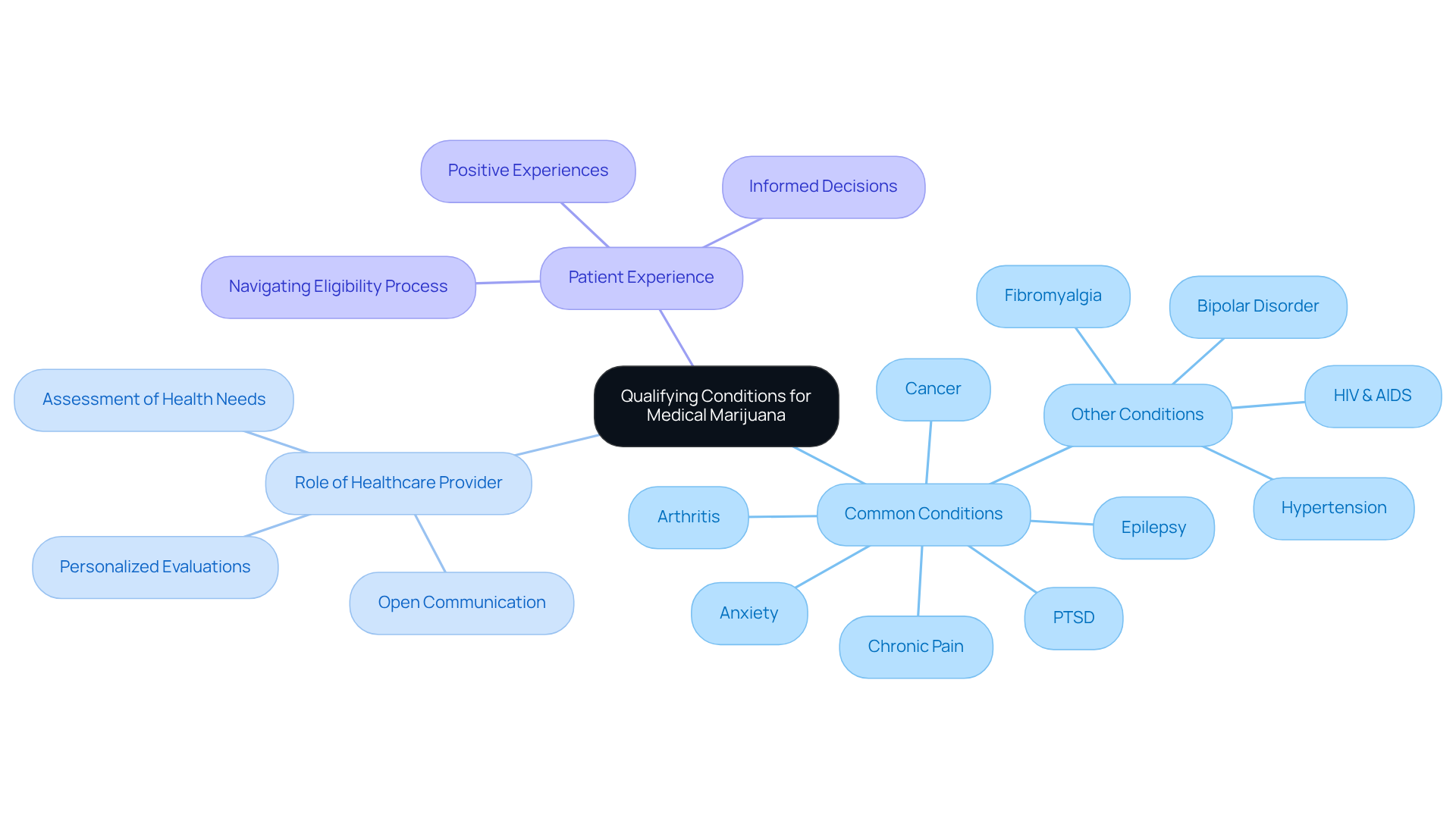 The center shows the main topic. From there, you’ll see branches for common conditions and the critical role of healthcare providers in determining eligibility. Each branch highlights important aspects of the process.