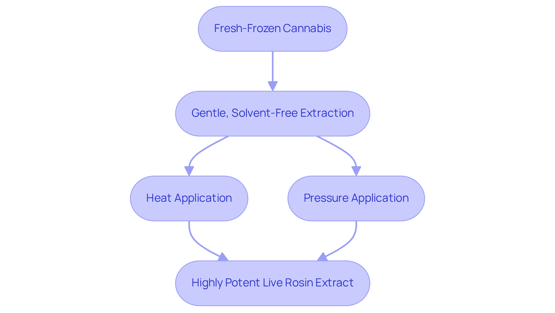 This flowchart illustrates the steps in extracting live rosin, starting from fresh-frozen cannabis to the creation of a potent extract. Each step is crucial in preserving the plant’s natural benefits.